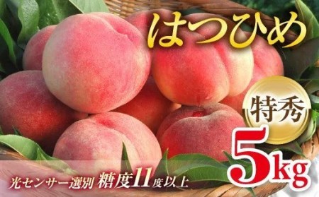はつひめ 約5kg 福島県伊達市産 桃 フルーツ 果物  F20C-127