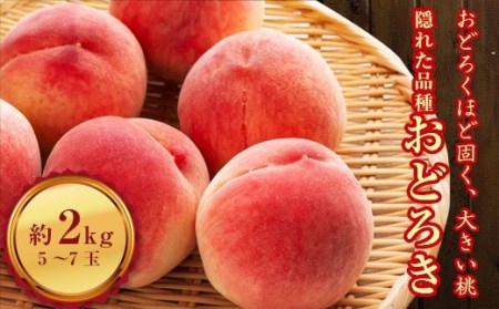 福島の桃 おどろき 2kg(5〜7玉)固い桃 伊達市産桃 先行予約 フルーツ 果物 もも モモ momo F20C-496