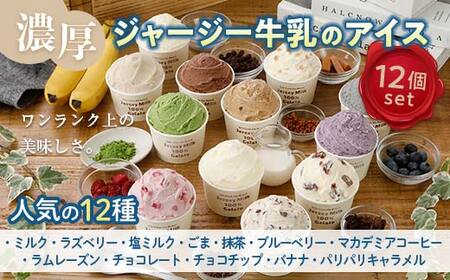 yW[W[gpz܂΂̃W[W[ACXlC1212Zbg F21C-036