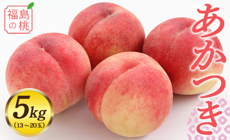 《先行予約》 福島の桃 あかつき 5kg（13～16玉） 桃 もも モモ 果物 フルーツ 予約 産地直送 ふるさと納税 福島県 伊達市 F20C-548