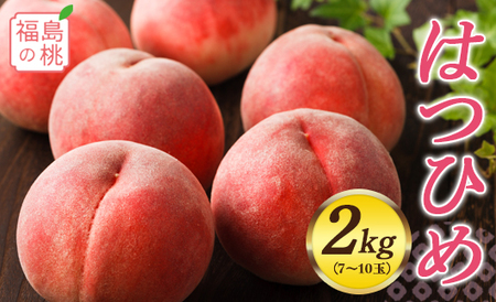 福島の桃 はつひめ 2kg(7〜10玉)先行予約 フルーツ 果物 伊達市産 もも モモ momo F20C-549