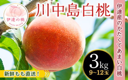 福島の桃 [新鮮もも直送]桃 川中島白桃 3kg(9〜12玉) 先行予約 フルーツ 果物 もも モモ momo F20C-606