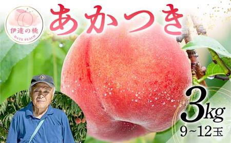 福島の桃 [新鮮もも直送]桃 あかつき 3kg(9〜12玉)先行予約 フルーツ 果物 もも モモ momo F20C-607