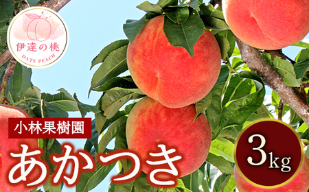 福島県産 あかつき 3kg 2025年7月下旬〜2025年8月上旬発送 2025年出荷分 先行予約 予約 伊達の桃 桃 もも モモ 果物 くだもの フルーツ 名産品 国産 食品 F20C-590