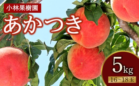福島の桃 あかつき 5kg(16〜18玉) [小林果樹園] 先行予約 フルーツ 果物 もも モモ momo F20C-591