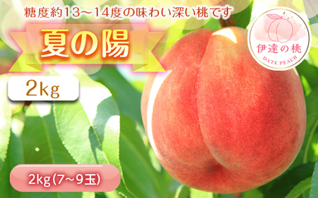 福島県産 伊達市で開発 夏の陽 2kg 2025年8月上旬〜2025年8月中旬発送 2025年出荷分 先行予約 予約 中玉 柔らかめ 伊達の桃 桃 もも モモ 果物 くだもの フルーツ 国産 食品 F20C-454