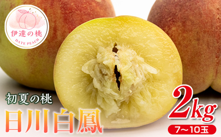 福島県産 日川白鳳 2kg 2025年7月上旬〜2025年7月中旬発送 2025年出荷分 先行予約 予約 伊達の桃 小玉 桃 もも モモ 果物 くだもの フルーツ 国産 F21C-023