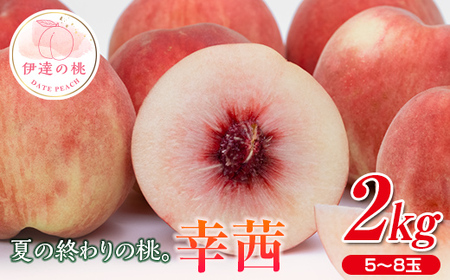 福島の桃 夏の終わりの桃 幸茜 2kg(5〜8玉) 先行予約 フルーツ 果物 もも モモ momo F20C-635