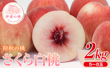 福島の桃 初秋の桃 さくら白桃 2kg(5〜8玉) 先行予約 フルーツ 果物 もも モモ momo F20C-636