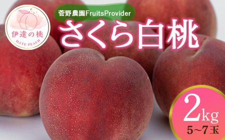 福島の桃 さくら白桃 2kg(5〜7玉) 先行予約 フルーツ 果物 [菅野農園FruitsProvider] 桃 もも モモ momo F20C-639