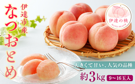 福島県産 なつおとめ 3kg 新品種 2025年8月上旬〜2025年8月中旬発送 2025年出荷分 先行予約 予約 大玉 伊達の桃 桃 もも モモ 果物 くだもの フルーツ 国産 食品 F20C-349