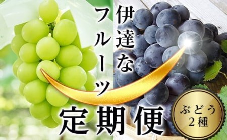 [2025年秋から開始の定期便]伊達なフルーツ定期便(ぶどう2種)果物 フルーツ 葡萄 ブドウ 福島県 伊達市 F20C-477