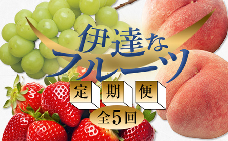 2026NtJn̒ցɒBȃt[c (E3EԂǂ) ʕ t[c  C`S    uhE  ɒBs  F20C-485