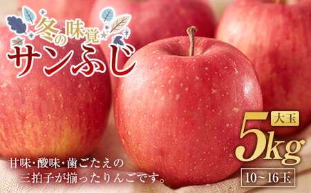 ~̖o  Tӂ  5kgi10`16ʁj  ɒBs ь S t[c ʕ Yn F20C-662