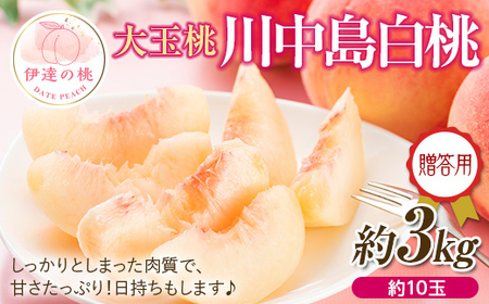 福島県産 川中島白桃 3kg(約10玉) 2025年8月中旬〜2025年8月下旬発送 2025年出荷分 先行予約 予約 固め 白桃 大玉 伊達の桃 桃 贈り物 贈答 ギフト もも モモ 果物 くだもの フルーツ 国産 食品 F20C-521