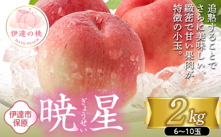 福島の桃 暁星 2kg(6〜10玉) [あかい果樹園] 先行予約 フルーツ 果物 もも モモ momo F20C-502