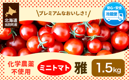[0.9-267] 北海道当別町産化学農薬不使用ミニトマト:雅1.5kg