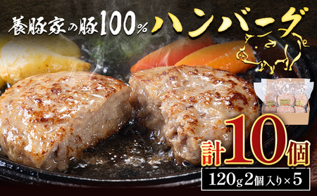 [0.95-307] 養豚家の豚100%ハンバーグセット 120g2枚入りパック×5セット計10枚 豚肉 肉 厳選 国産 厳選 お取り寄せ グルメ おかず おすすめ スマイル ポーク 加工品 惣菜 簡単 冷凍 キャンプ BBQ