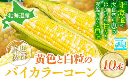 [1.12-358][2025年先行予約]照之家商店 鮮度抜群 とうもろこし「黄色と白粒のバイカラーコーン」10本| とうもろこし トウモロコシ 北海道とうもろこし 朝採れとうもろこし 産地直送とうもろこし 北海道産とうもろこし