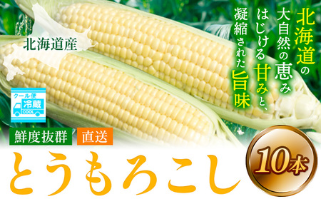 [1.12-359][2025年先行予約]照之家商店 鮮度抜群とうもろこし10本 | とうもろこし トウモロコシ 北海道とうもろこし 朝採れとうもろこし 産地直送とうもろこし 北海道産とうもろこし