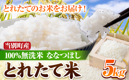 [0.95-42]「とれたて米」当別産100%無洗米ななつぼし5kg