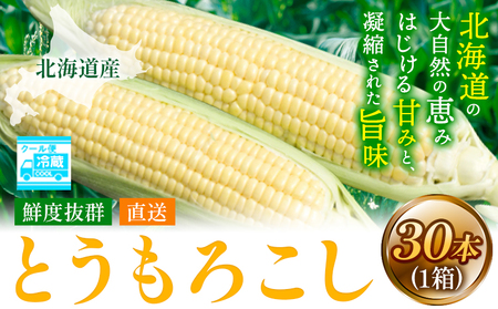 [2.41-263][2025年先行予約]照之家商店 鮮度抜群とうもろこし30本 | とうもろこし トウモロコシ 北海道とうもろこし 朝採れとうもろこし 産地直送とうもろこし 北海道産とうもろこし