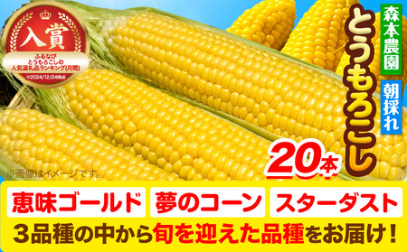 [1.4-77][2025年先行予約] 森本農園 とうもろこし20本セット | とうもろこし トウモロコシ 北海道とうもろこし 朝採れとうもろこし 産地直送とうもろこし