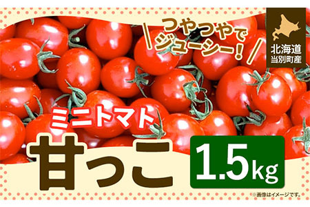 [0.8-220] 北海道当別町産化学農薬不使用ミニトマト:甘っこ1.5kg