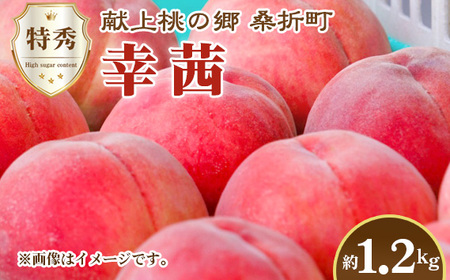 No.228 yKE2026NYstzG1.2kg@KܒY@JAӂܖ@ ^  ʕ  t[c Ö ʏ` W[V[ K  ܂  Yi