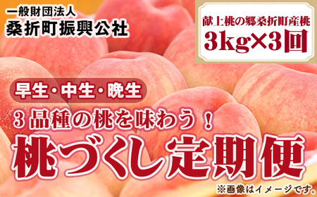 [2026年産先行受付・献上桃の郷桑折町産もも]定期便3kg×3回 品種おまかせ / 桃 定期便 先行受付 特秀品 糖度選果 光センサー 旬 食べ比べ 産地直送 国産フルーツ もも 果肉 果汁 食感 甘さ ご褒美 ジューシー フレッシュ デザート みずみずしい 福島県 No.255