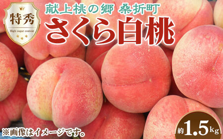No.168 y甒E2026NYstzG1.5kg@KܒY@JAӂܖ@ ^  ʕ  t[c Ö ʏ` W[V[ K  ܂  Yi