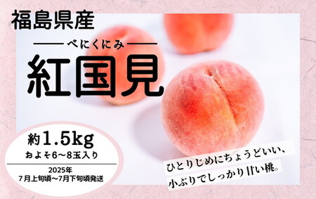 ◆2025年夏発送◆ 紅国見 〜産直・桃・約1.5kg〜 ※離島への配送不可 ※2025年7月上旬〜7月下旬頃に順次発送予定|桃 もも モモ フルーツ 果物 ふくしま 福島 国見町 詰め合わせ