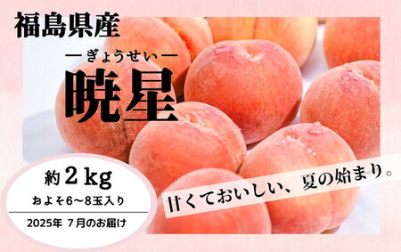 ◆2025年夏発送◆暁星〜産直・桃・約2kg〜 | 先行予約 予約 数量限定 桃 もも モモ 果物 くだもの フルーツ 詰め合わせ 福島 ふくしま ※離島への配送不可 ※2025年7月上旬〜7月下旬頃に順次発送予定