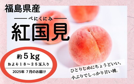 ◆2025年夏発送◆紅国見〜産直・桃・約5kg〜 | 先行予約 予約 数量限定 桃 もも モモ 果物 くだもの フルーツ 詰め合わせ 福島 ふくしま ※離島への配送不可 ※2025年7月上旬〜7月下旬頃に順次発送予定