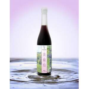 美葡萄 山ぶどうジュース 500ml×2本【1590326】