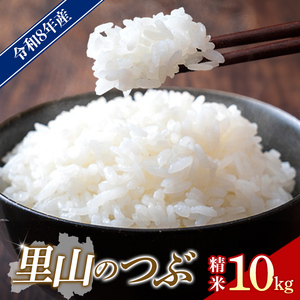 【先行予約】令和8年産 川俣町産 里山のつぶ 精米 10kg  FAF-0006