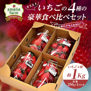 スマイルファーム オススメいちごの4種の豪華 食べ比べ セット 約1kg  FAF-0037