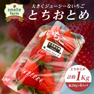 スマイルファーム 大きくジューシーないちご とちおとめ 約1kg  FAF-0039