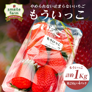 スマイルファーム やめられない止まらないいちご もういっこ 約1kg  FAF-0041