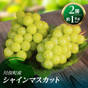 【先行予約】川俣町産 シャインマスカット 2房 約1kg以上  FAF-0061