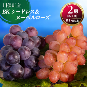 【先行予約】川俣町産 BKシードレス&ヌーベルローズ 約1kg以上  FAF-0064