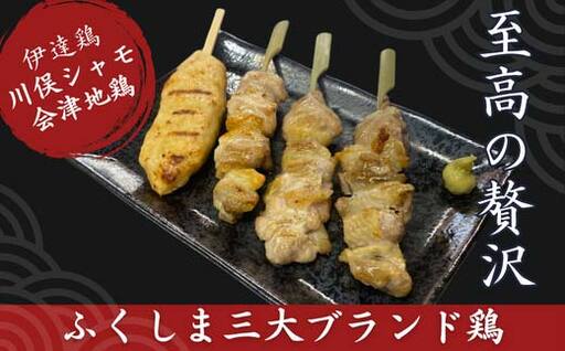 ふくしま三大ブランド鶏 焼き鳥 贅沢食べ比べセット 16本 おつまみ チキン BBQ キャンプ バーベキュー