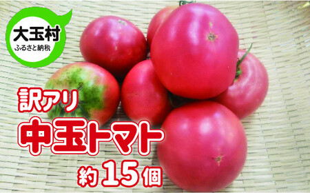 トマト 訳あり 野菜 中玉 (5cmm〜8cm) 約15個 もったいない野菜 数量限定 | SDGs フードロス 食品ロス 規格外 不揃い 家庭用 とまと 期間限定 夏野菜 新鮮 旬 5000円 5000円以下 産地直送 大玉 大玉村 福島