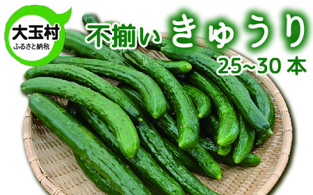 きゅうり 訳あり 野菜 20本～25本 もったいない野菜 数量限定 ｜ SDGs フードロス 食品ロス 規格外 不揃い 家庭用 キュウリ 期間限定  夏野菜 新鮮 旬 5000円 ５０００円以下 産地直送 大玉村 福島のレビュー | ふるさと納税ランキングふるなび