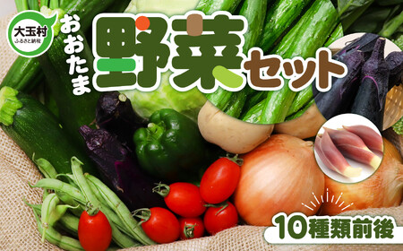 野菜 詰め合わせ セット (10種類前後) おまかせ お試し 旬の野菜 ｜ 野菜セット SDGs 5000円 ５０００円以下 採れたて 新鮮 BBQ バーベキュー アウトドア キャンプ 旬 グルメ 農家 直送 トマト 玉ねぎ ナス きゅうり お野菜 福島 大玉村