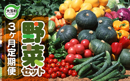 野菜 [3回定期便]野菜セット[先行予約]10種類前後 野菜 野菜 野菜