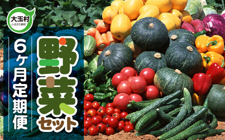 野菜セット[6回定期便]10種類前後 |野菜 福島県 大玉村