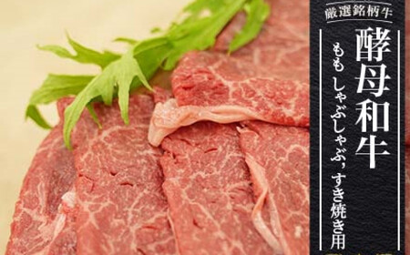 牛肉 あだたら酵母牛(すきやき用) 500g 牛肉 牛肉 牛肉