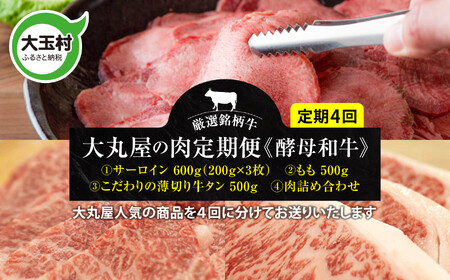 牛肉 [4回定期便]肉の定期便 牛肉 牛肉 牛肉