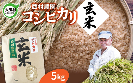 米 5kg コシヒカリ [ 令和6年産 ] 玄米 | 西村農園 コメ こめ お米 福島県 大玉村 |nm-kh05-g-R6